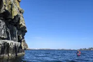 Casco Bay Sea Kayak Tour Half-Day thumbnail 6
