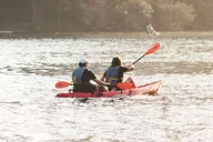 Austin Kayak Rental on Lady Bird Lake thumbnail 2