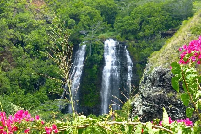 Kauai Waterfalls and Local Grinds Tour - Image 2