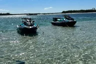 Clearwater Jet Ski Dolphin Tour 1 Hour thumbnail 3