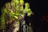 Hilo Volcano, Waterfalls and Beach Tour with Lunch 7 hr thumbnail 3
