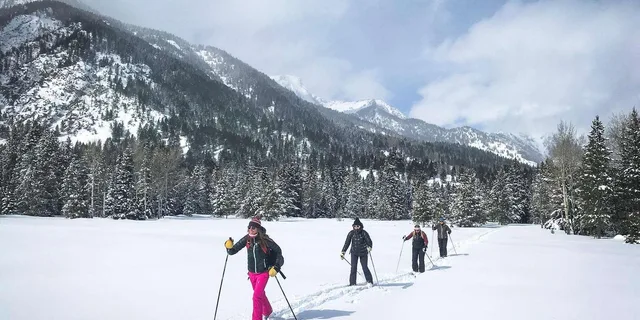 Grand Teton Snowshoe Tour 4 hr - Image 5
