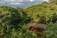 Oahu Cacao Orchard Tour 90 min thumbnail 1