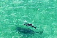 Clearwater Clear Kayak Tour thumbnail 3