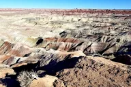 Sedona Hopi Cultural and Archaeological Day Trip thumbnail 2
