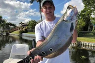 West Palm Beach Peacock Bass Fishing Trip thumbnail 6
