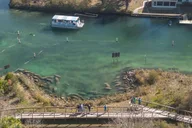 Crystal River Manatee Viewing and Sightseeing Boat Tour thumbnail 3