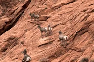 Las Vegas Hoover Dam and Valley of Fire Tour thumbnail 4