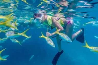 Key West Snorkel Sail with Mimosas and Breakfast thumbnail 2