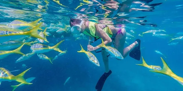 Key West Snorkel Sail with Mimosas and Breakfast - Image 2