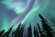 Fairbanks Northern Lights and Arctic Circle Tour thumbnail 6