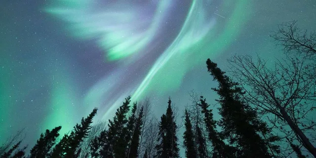 Fairbanks Northern Lights and Arctic Circle Tour - Image 6