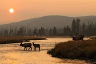 Grand Teton National Park Sunset Tour thumbnail 3