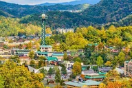 Smoky Mountains Jeep Tour thumbnail 5