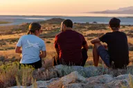 Salt Lake City Great Salt Lake Wildlife Tour at Sunset thumbnail 4