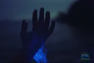 Titusville Bioluminescence Kayaking Tour thumbnail 5