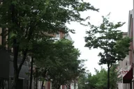 Salem Hidden History Walking Tour thumbnail 2