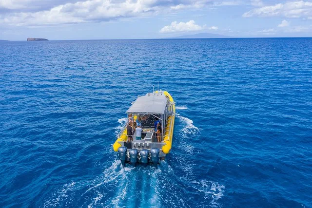 Maui Snorkel Charter to Coral Gardens or Molokini 3 hr - Image 2