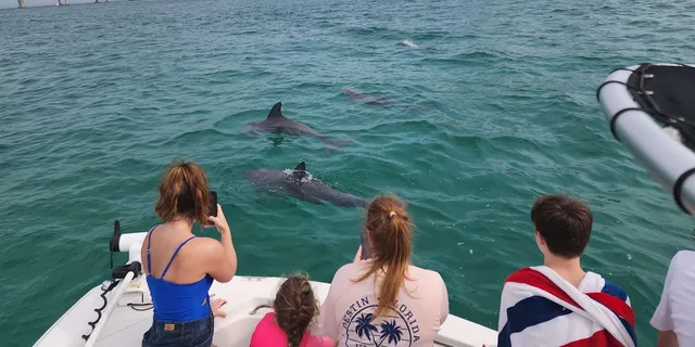 Destin Dolphin Cruise Private Morning 2 hr - Image 4