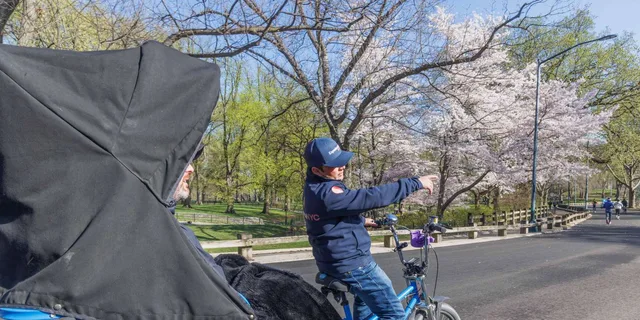 New York Central Park Pedicab Tour with Museum Access - Image 3