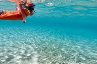 Oahu Private North Shore Custom Tour thumbnail 2