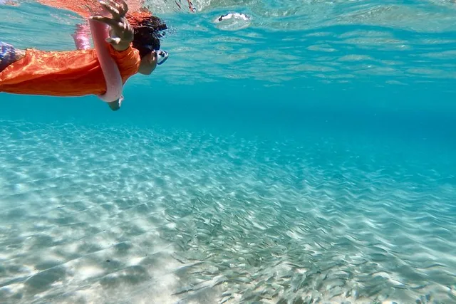 Oahu Private North Shore Custom Tour - Image 2
