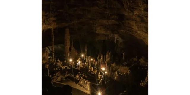 San Antonio Lantern Tour at Natural Bridge Caverns - Image 6