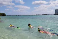 Miami Island Snorkeling by SUP or Kayak thumbnail 1