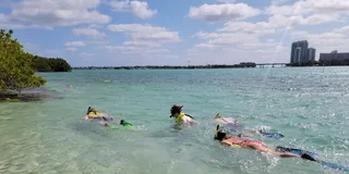 Miami Island Snorkeling by SUP or Kayak