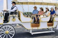 Washington DC Monuments Carriage Tour thumbnail 1