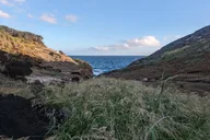 Honolulu Island Tour thumbnail 6