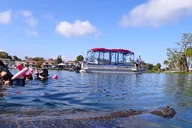 Crystal River Swim with Manatees Tour thumbnail 4