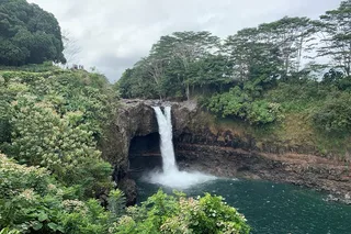 Hilo Shore Excursion: Hamakua Coast Tour