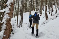 Crystal Mountain Snowshoeing Tour thumbnail 5