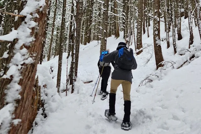 Crystal Mountain Snowshoeing Tour - Image 5
