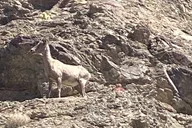 Las Vegas Off-Road Tour thumbnail 2