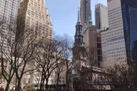 New York City Guided Bus Tour thumbnail 3