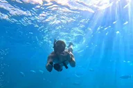 Honolulu Catamaran Snorkel with Turtles 3 hr thumbnail 5