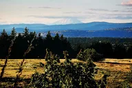 Portland Outdoor Tea Ceremony Experience thumbnail 4
