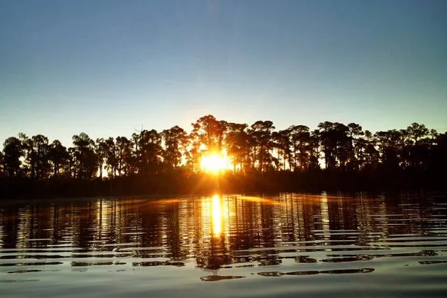 Lake Buena Vista Kayak Rental 2 hr - Image 5