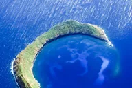 Maui Molokini & Turtle Town Snorkel Tour 5 hr thumbnail 2