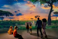 Atlanta Illuminarium Day Pass thumbnail 6
