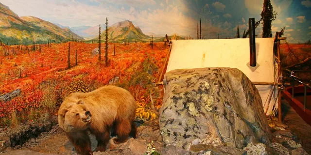 Fairbanks Winter City Tour and Dog Sledding - Image 4