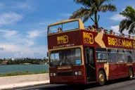 Miami City Pass with 30+ Attractions thumbnail 3