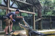 Orlando Everglades Airboat Tour and Wildlife Park thumbnail 3