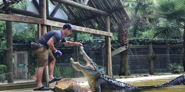 Orlando Everglades Airboat Tour and Wildlife Park - Image 3