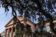 Charleston Historic District & Plantation Private Tour thumbnail 2