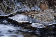 Vistas & Waterfall Photography Tour in Asheville thumbnail 6