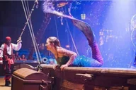 Orlando Pirates Adventure Dinner Show thumbnail 6