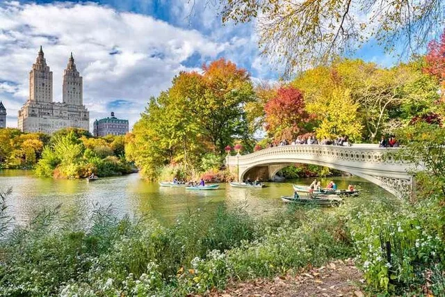 New York Central Park Pedicab Tour - Image 2